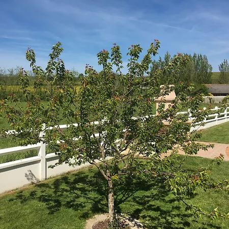 Pensionat De De Fresne 3*