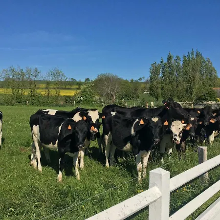De De Fresne Saint-Côme-de-Fresné
