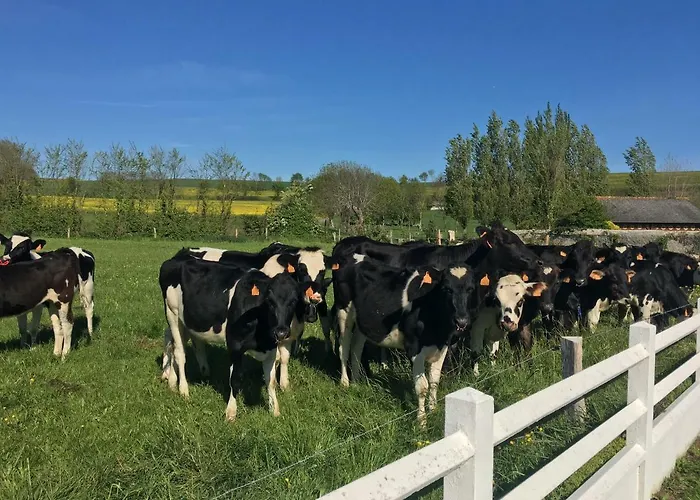 De De Fresné Saint-Côme-de-Fresné